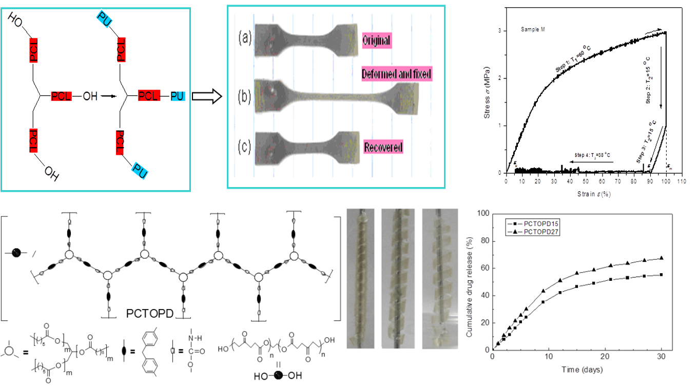 Ph Responsive Smart Polymers Prof Li's Lab at ChBE NUS